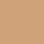 FACES CANADA All Day Hydra Matte Foundation Honey Beige 031 15ml