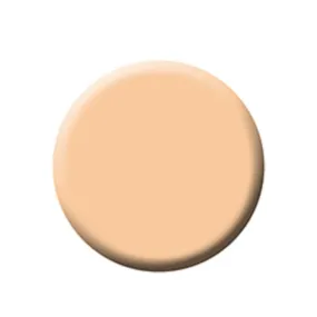 FIXX CREME FOUNDATION - RUBY REFILLS