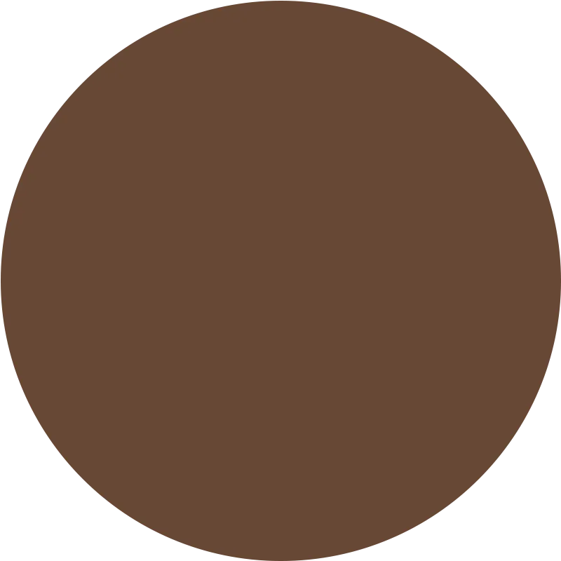 Ritual Skin Foundation Stick Rich